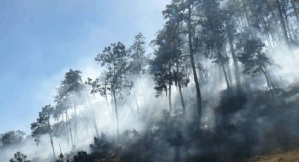 Acumula Hidalgo tres incendios forestales en lo que va de enero