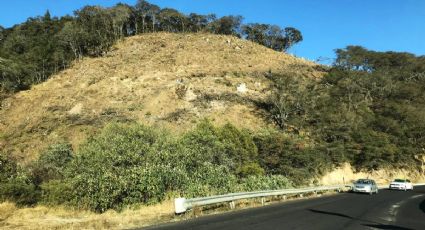 Autopista Mineral del Monte-Huasca: tala de bosque equivale a 29 veces el Estadio Hidalgo