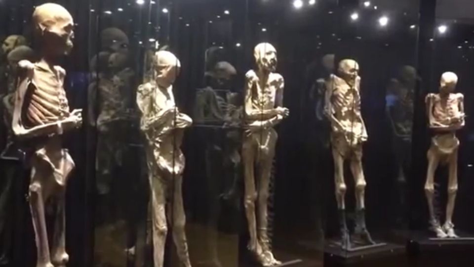¿En el Museo de la Momias de Guanajuato también se les llamará “personas momificadas” o se les dirá como siempre “momias”?