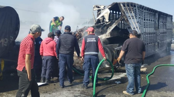 Choca tráiler con reses y se incendia en la México-Querétaro