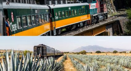 ¡Todos a bordo! Rutas de trenes para viajar por México