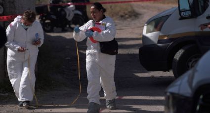 Hallan seis cuerpos en fosas clandestinas en Zitácuaro, Michoacán