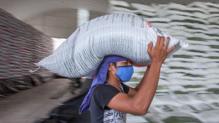 ¿Cuándo llegará el programa de fertilizantes a Veracruz en 2023?