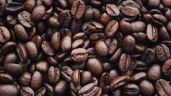 Foto ilustrativa de la nota titulada: Plan NESCAFÉ® reconoce a los cafeticultores de México e impulsa su compromiso con el campo