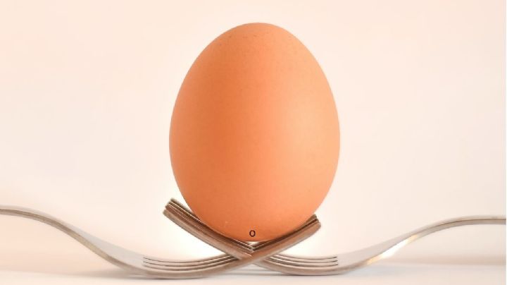 Día Mundial del Huevo: Qué significa el código en la cáscara, mitos, realidades, etc