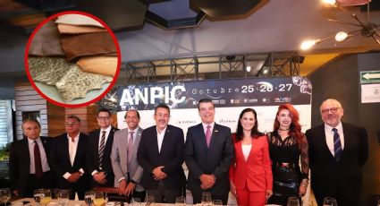 Impulsarán empresarios el 'nearshoring' en ANPIC
