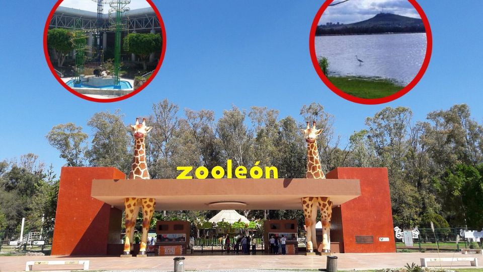 Se extendió el Pase Verde y tendrá accesó gratuito sábados y domingos en deportivas, zoológico y explora.