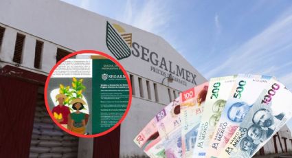 Corrupción en Segalmex: paga 328,000 pesos a favorita de Adán Augusto para promover programas