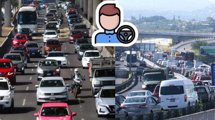 ¿Cuál es el estado que podría tener un 50% de descuento en la licencia de conducir?