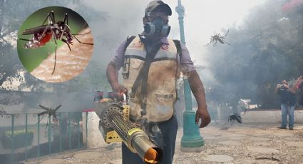 Alertan por plaga de mosquitos en Tuxpan, Veracruz