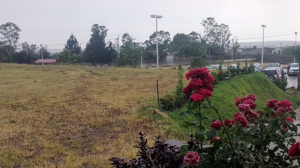 Se esperan chubascos que ayuden a reverdecer la vegetacion en Guanajuato. En la imagen, un jardin en la capital del estado.