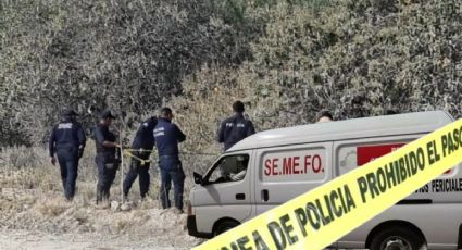 Localizan restos de hombre devorado por fauna local en Hidalgo; esto se sabe