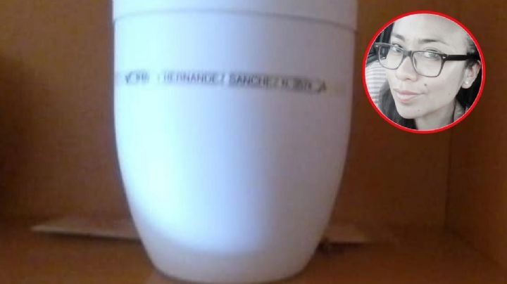 Hombre viaja de España a la CDMX y pierde la urna con las cenizas de su esposa