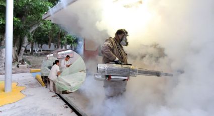 Casos de dengue en Veracruz se dispararon 500 por ciento, en 2023