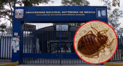 Chinches en la UNAM: también cierra FES Aragón
