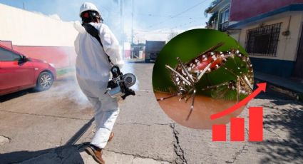 Dengue en Veracruz: Más de 900 nuevos contagios en una semana