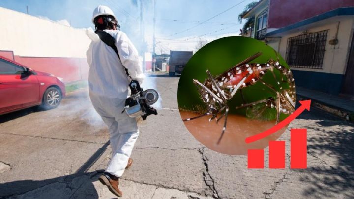 Dengue en Veracruz: Más de 900 nuevos contagios en una semana