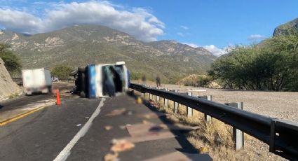 Choque mortal en la carretera Oaxaca-Puebla; suman 18 migrantes muertos
