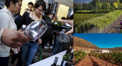 Día del Vino Mexicano: Estos son los 3 pueblos mágicos que debes visitar si eres un verdadero amante del vino