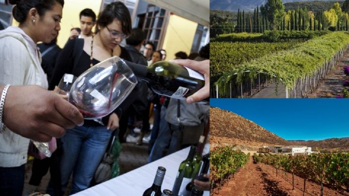 Día del Vino Mexicano: Estos son los 3 pueblos mágicos que debes visitar si eres un verdadero amante del vino