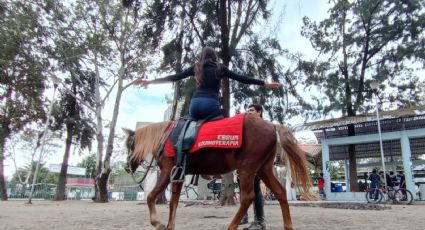 Escuela Ebrum: mejorando la calidad de vida de pacientes y caballos desde un eje vial