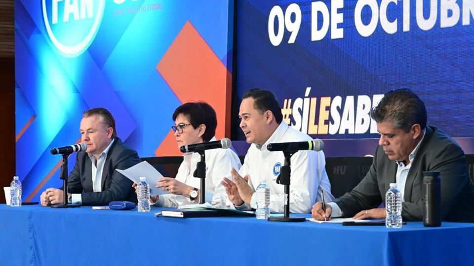 El dirigente del PAN, Eduardo López Mares dio a conocer que 114 funcionarios presentaron sus cartas de intención para reelegirse.