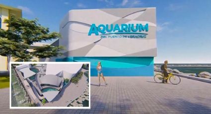 Así lucirá el Aquarium de Veracruz con nuevas instalaciones