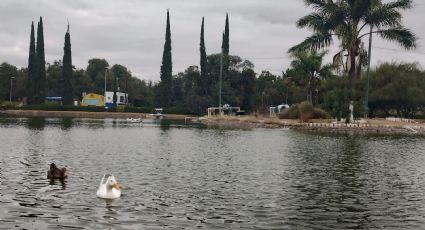 Después de 3 años de reparación, "reinauguran" lago del parque Xochipilli el fin de semana