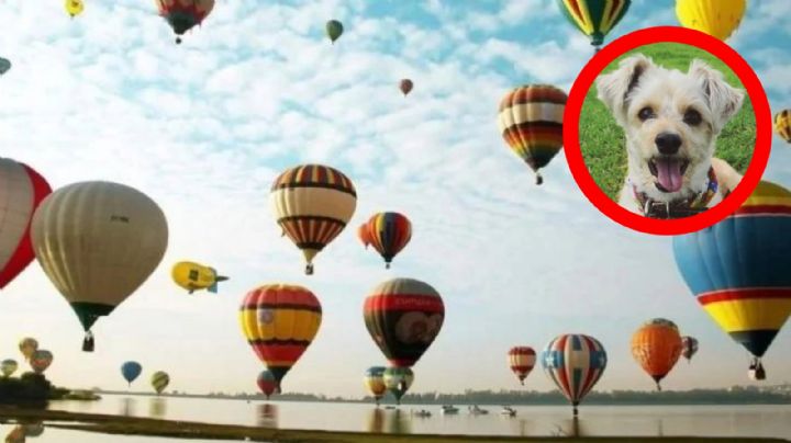 Prohíben la entrada de perros al Parque Metropolitano
