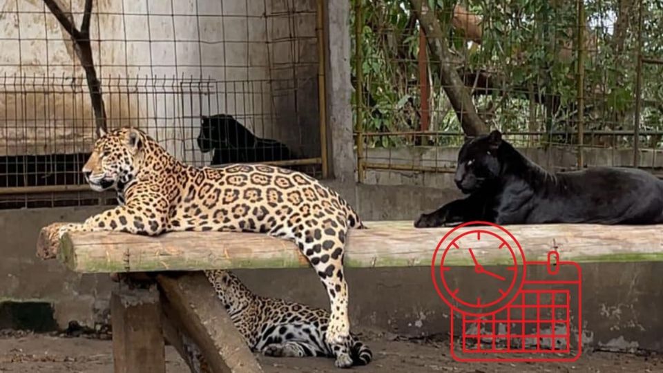 Parque Ecológico Akga'Pun Kitsis'Tanka en Tihuatlán, a 10 minutos de Poza Rica