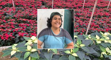 Joselyn creció apoyando la siembra y venta de flor de Nochebuena en La Estanzuela