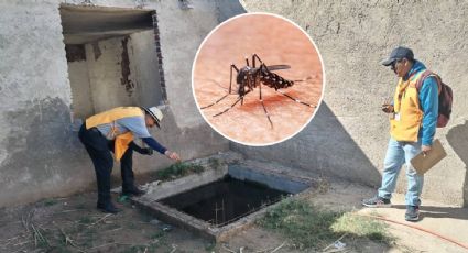 Confirman más de 500 casos de dengue en Guanajuato