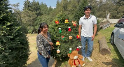 Peluchesferas de Xonacatlán, ideales para decorar tu árbol de navidad