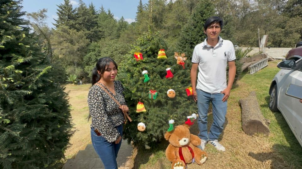 Peluchesferas de Xonacatlán, ideales para decorar tu árbol de navidad