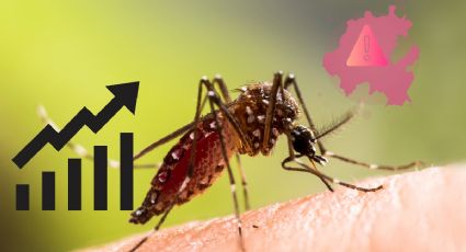 Aumentan casos de dengue en Hidalgo; estos son los síntomas y así puedes prevenir