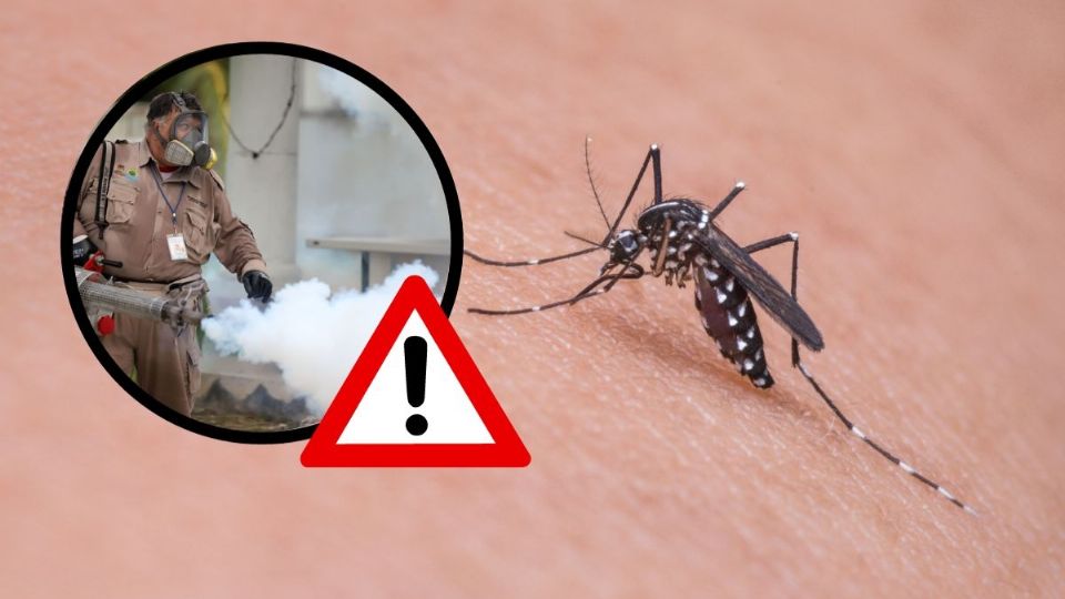 Casos de Dengue en Veracruz