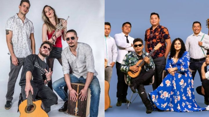 Jenny and the Mexicats y Los Cojolites en Xalapa, mira cuándo
