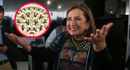 Gálvez, la historia detrás del apellido de la otra mujer que va por la presidencia de México