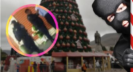 Grinch se manifiesta en tres ladrones que roban adornos del mega árbol de Pachuca | FOTOS