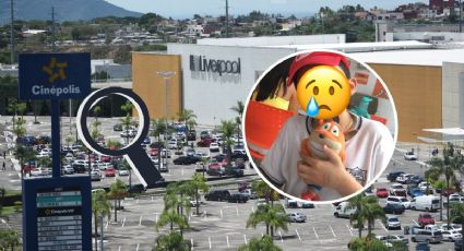 Niño busca a su peluche perdido en Plaza Américas de Xalapa; ofrecen recompensa