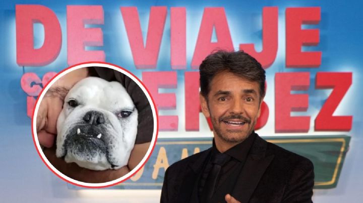 Eugenio Derbez muestra el trágico momento en el que murió su perrita Fiona