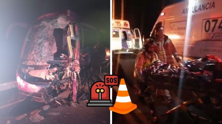 Esto se sabe del choque entre ADO y tráiler en carretera de Las Choapas