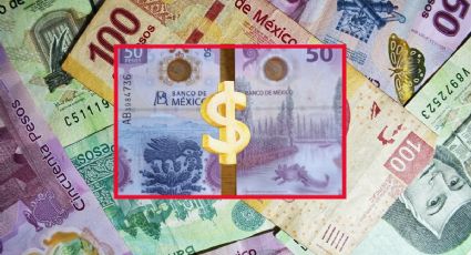 El ajolote del billete de 50 te regala hasta 3 millones de pesos; olvídate de los ahorros