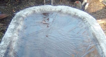 Amanecen congeladas pilas de agua en Comanja y Sierra de Lobos en León