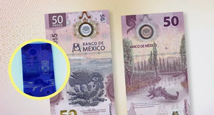 Este es el error del billete de 50 que te llena la cartera con 5 millones de pesos