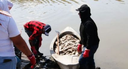 Por sequía, presa Requena sin recuperar caudal ni actividad pesquera: alcalde