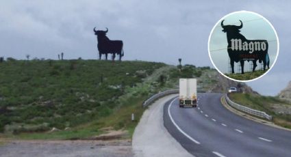 Has visto este toro negro en la carretera ¿De dónde viene?