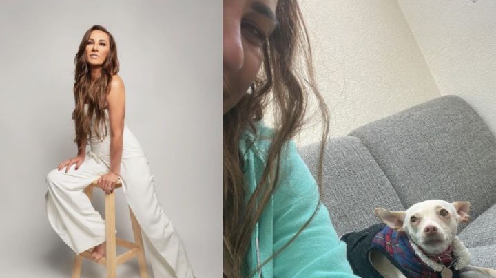 ¿Qué pasó con los perros de Consuelo Duval durante el robo a su casa?