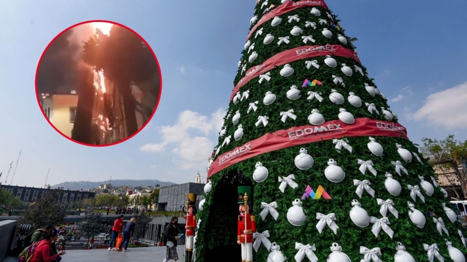 El árbol navideño de aproximadamente 10 metros de altura se encontraba a un costado de la catedral en la Plaza Dr. Gustavo Baz