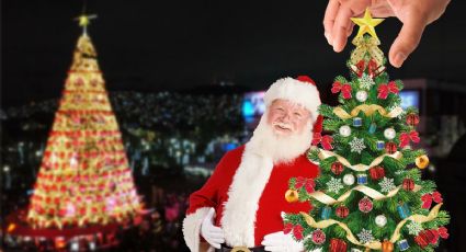Milagro de Navidad: a Sophie le roban su árbol en evento de Pachuca y extraño le compra uno